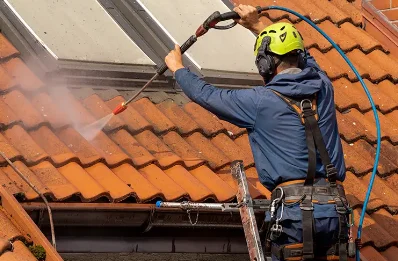 Démoussage et hydrofuge de toiture à Heyrieux